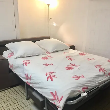 T1-Studio 60m2 à la Basse-Forêt Hébergement de vacances Bouguenais